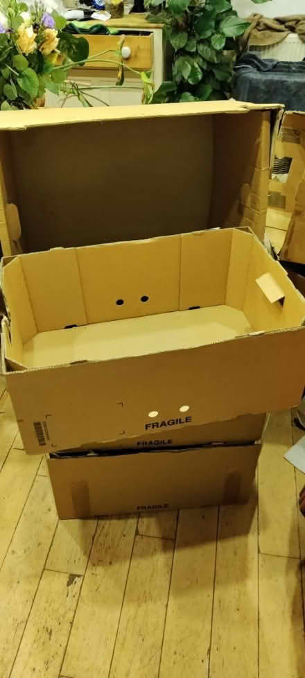 Photo of free Cardboard boxes (Staple Hill BS16) #2
