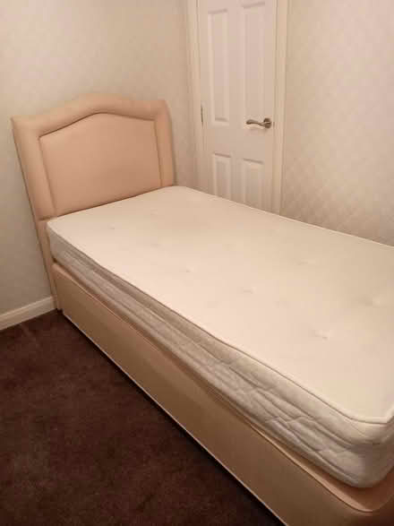 Photo of free Single divan bed (Erskine PA8) #1