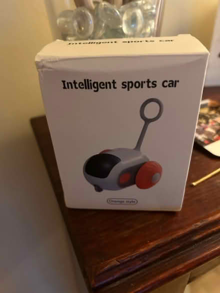 Photo of free Cat you (Gaurlford WR14) #1