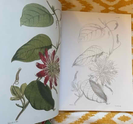 Photo of free Art therapy books (Halewood L26) #3