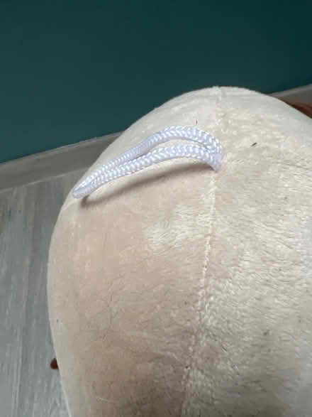 Photo of free King cuddly Large Pug plush. Good condition (Southsea PO4) #3