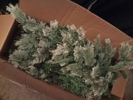 Photo of free Broken Christmas tree (DL1 Darlington) #1