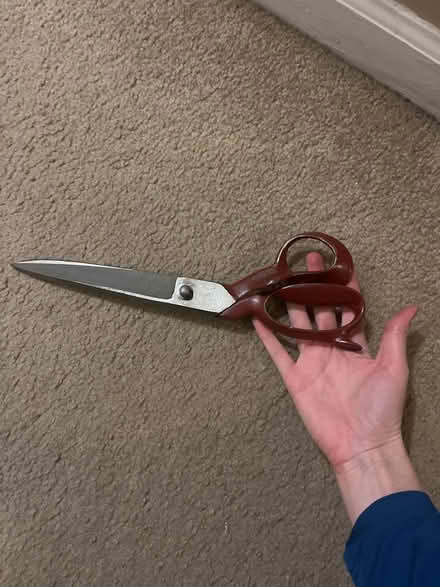 Photo of free Extra large scissors (Royal Oak, MI) #1