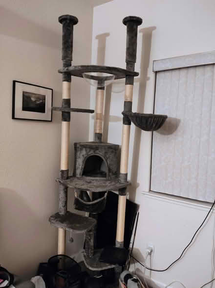 Photo of free Cat Tree (Cupertino City Hall) #1