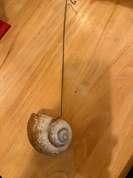 Photo of free Snail vase (Oxton, CH43) #2