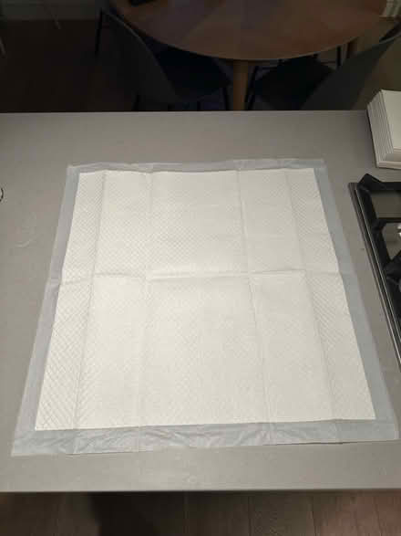 Photo of free Puppy toilet-training/pee pads (Ladbroke Grove W10) #1