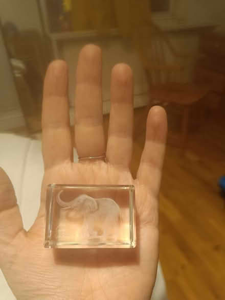 Photo of free Vintage laser art elephant in glass cube (Kentish Town NW5) #3