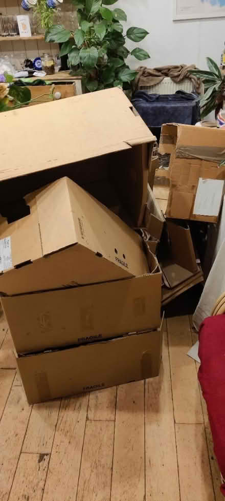 Photo of free Cardboard boxes (Staple Hill BS16) #1