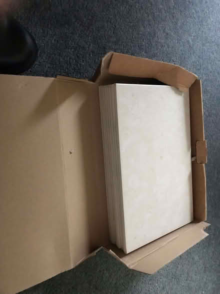 Photo of free 9 Tiles (Westerham TN16) #2