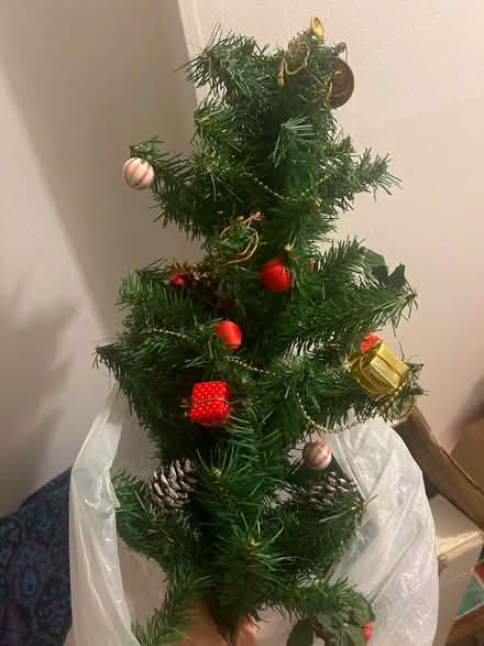 Photo of free Small desk tree (Stanway, CO3) #1