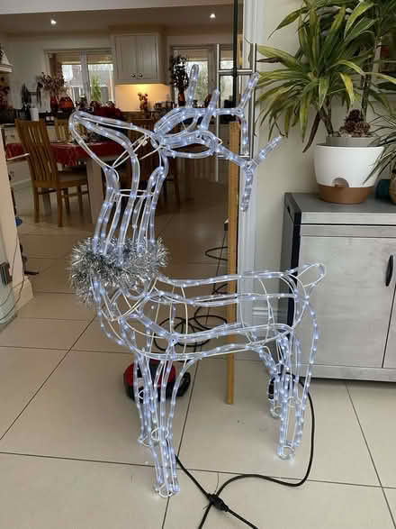 Photo of free Lit Christmas Decorations (West Common AL5) #2