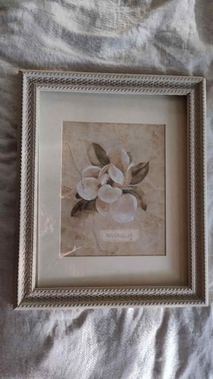 Photo of free Framed Mangolia print (Midtown/Boulevard Park) #1