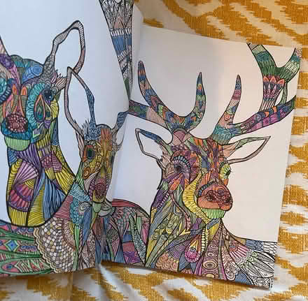 Photo of free Art therapy books (Halewood L26) #2