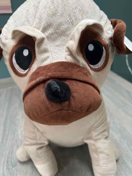 Photo of free King cuddly Large Pug plush. Good condition (Southsea PO4) #2