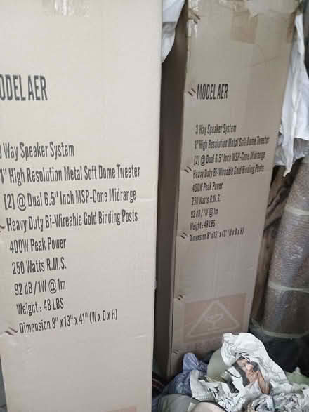 Photo of free Pair of very nice AER floor standing speakers. (Rosudgeon TR20) #2