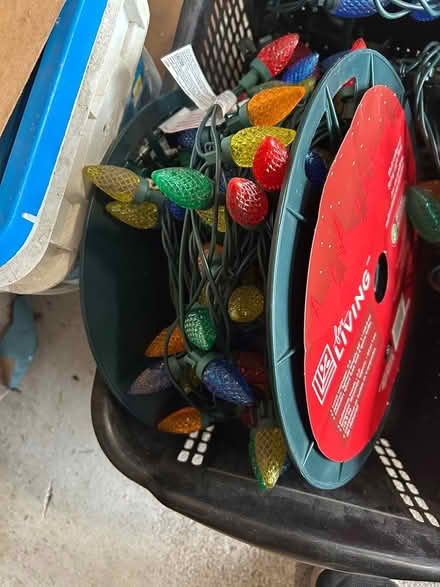 Photo of free LED Christmas Lights (Erin Mills) #2