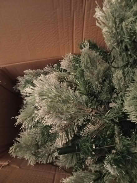 Photo of free Broken Christmas tree (DL1 Darlington) #3
