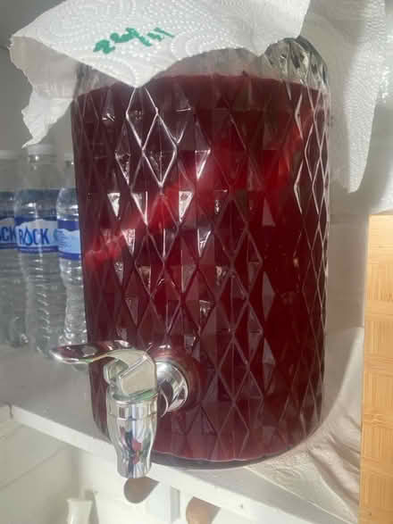 Photo of free Kambocha scooby (TW3) #1