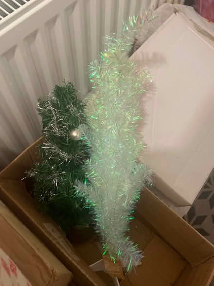 Photo of free Small Christmas trees (Stanway, CO3) #1
