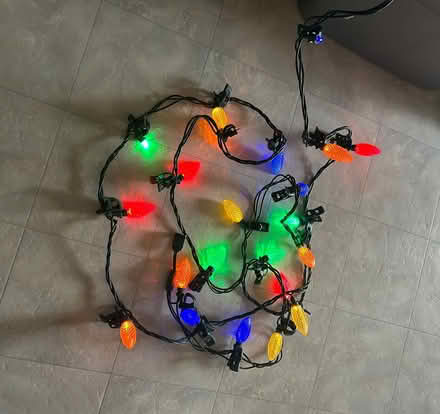 Photo of free LED Christmas Lights (Erin Mills) #1