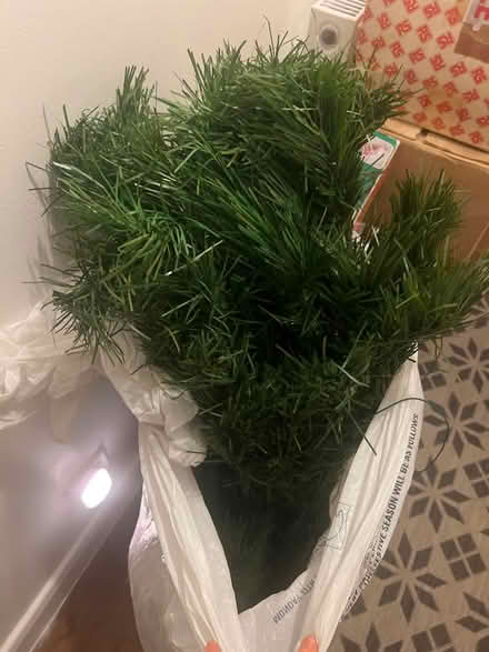 Photo of free Christmas tree (Stanway, CO3) #1