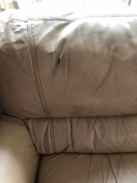 Photo of free Cream leather 2 seater sofa (Benenden TN17) #2
