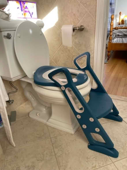 Photo of free Potty Seat with steps (Princeton, NJ) #1