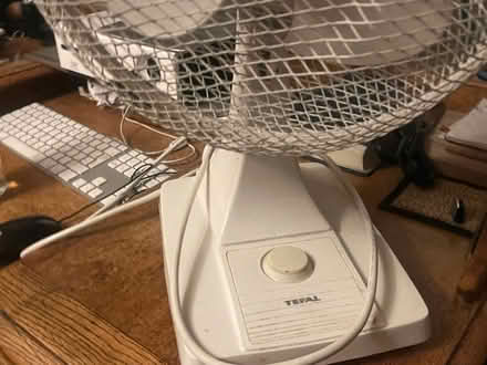 Photo of free Fan (Emmer Green RG4) #2