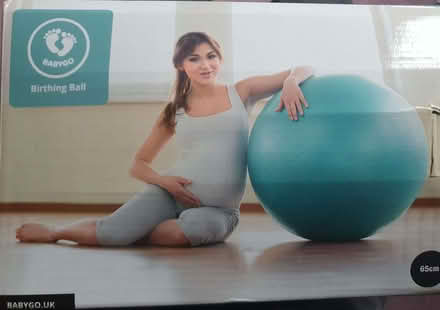 Photo of free Babygo birthing ball (Great Linford MK14) #1
