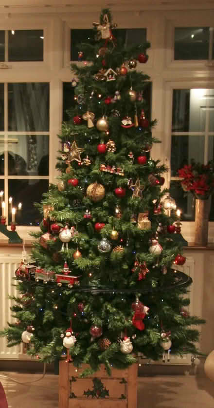 Photo of free 7 foot Christmas tree with lights (Horsham North RH12) #1