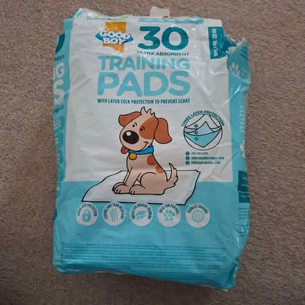 Photo of free 11 Pads left in the pack -for puppies / incontinent dogs (Snaresbrook E11) #1