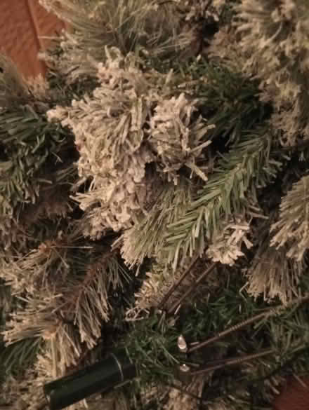 Photo of free Broken Christmas tree (DL1 Darlington) #2