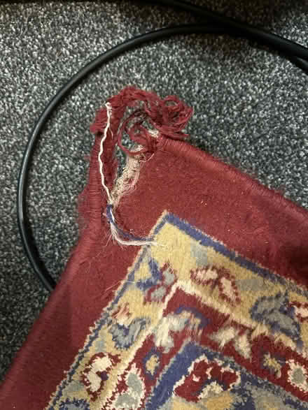 Photo of free Rug (Brighouse HD6) #2