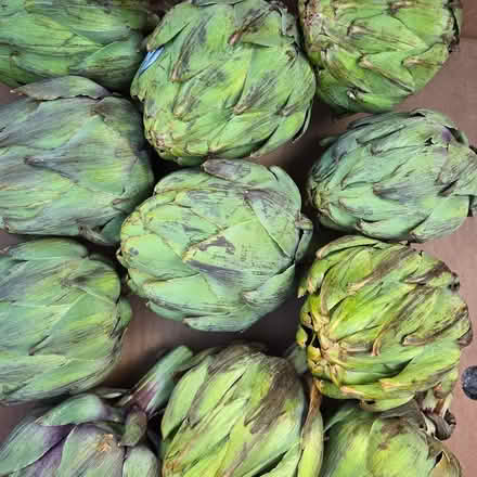 Photo of free Artichokes (Chiquita Av MtnVw) #1