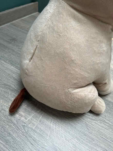 Photo of free King cuddly Large Pug plush. Good condition (Southsea PO4) #4