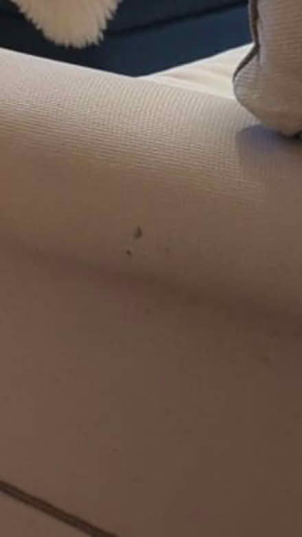 Photo of free Two seater settee (Sturminster Marshall) #3