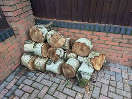 Photo of free Logs for Fire (Rugeley WS15) #2