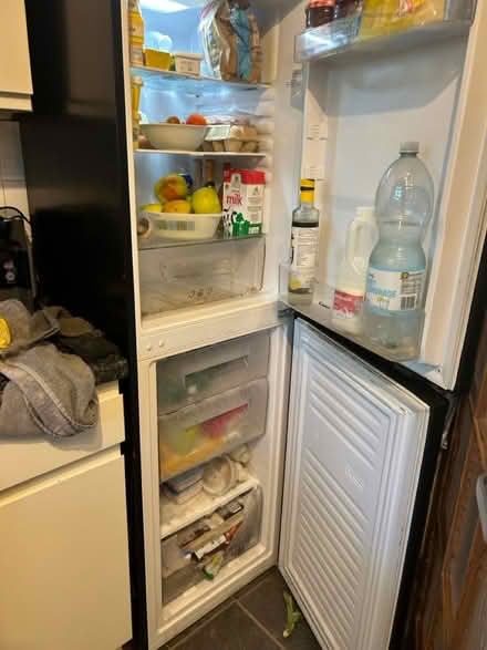 Photo of free Fridge freezer (brixham devon TQ5) #2