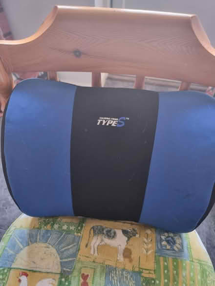 Photo of free Back support (Stonehouse) #1