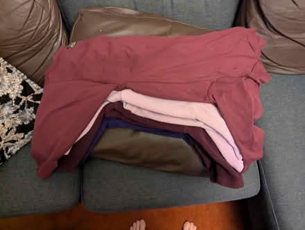 Photo of free Dog onesies, toys, harnesses (Beeston - LS11) #1