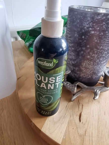 Photo of free House plant shine spray (Stonehouse) #1