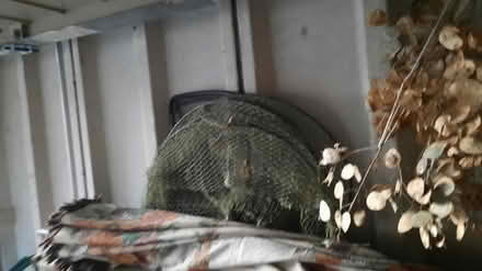 Photo of free fishing bits (Close to Wrexham Centre) #2