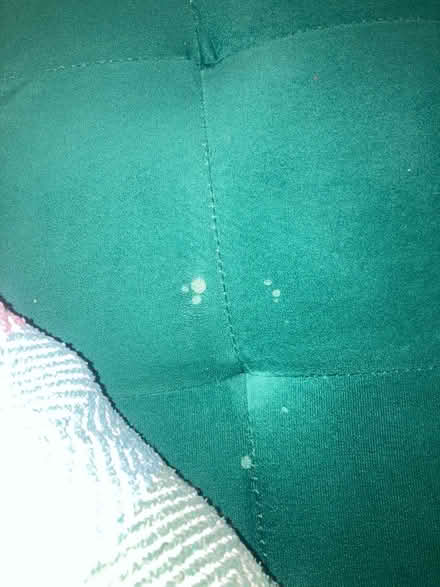 Photo of free Green two seater sofa (Hove Station area BN3) #2