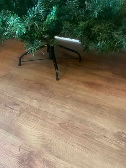 Photo of free 6 ft Christmas tree (Belle Isle LS10 Leeds) #3