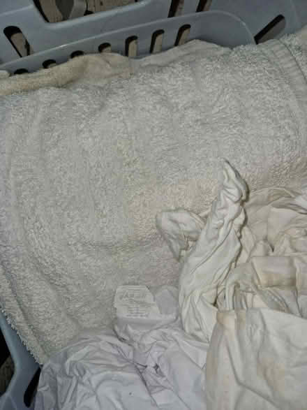 Photo of free Towels and single bed sheet (Brockley) #1