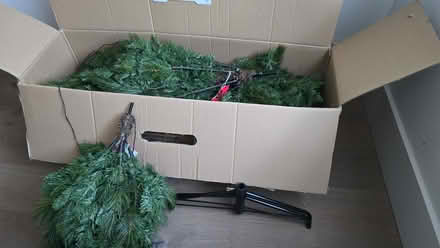 Photo of free Artificial Christmas with lights (Chelsea SW3) #2