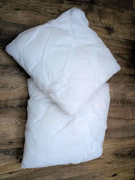 Photo of free 2 x cushion inners (South Gosforth NE3) #1