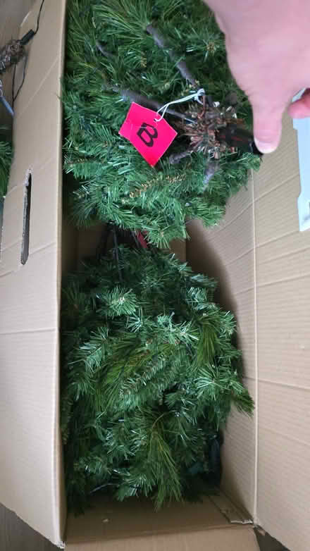 Photo of free Artificial Christmas with lights (Chelsea SW3) #3