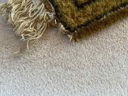 Photo of free Rug (Blackford EH9) #2