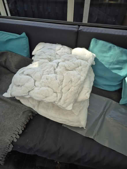 Photo of free 2kg cushion filler (Parsons cross S5) #2